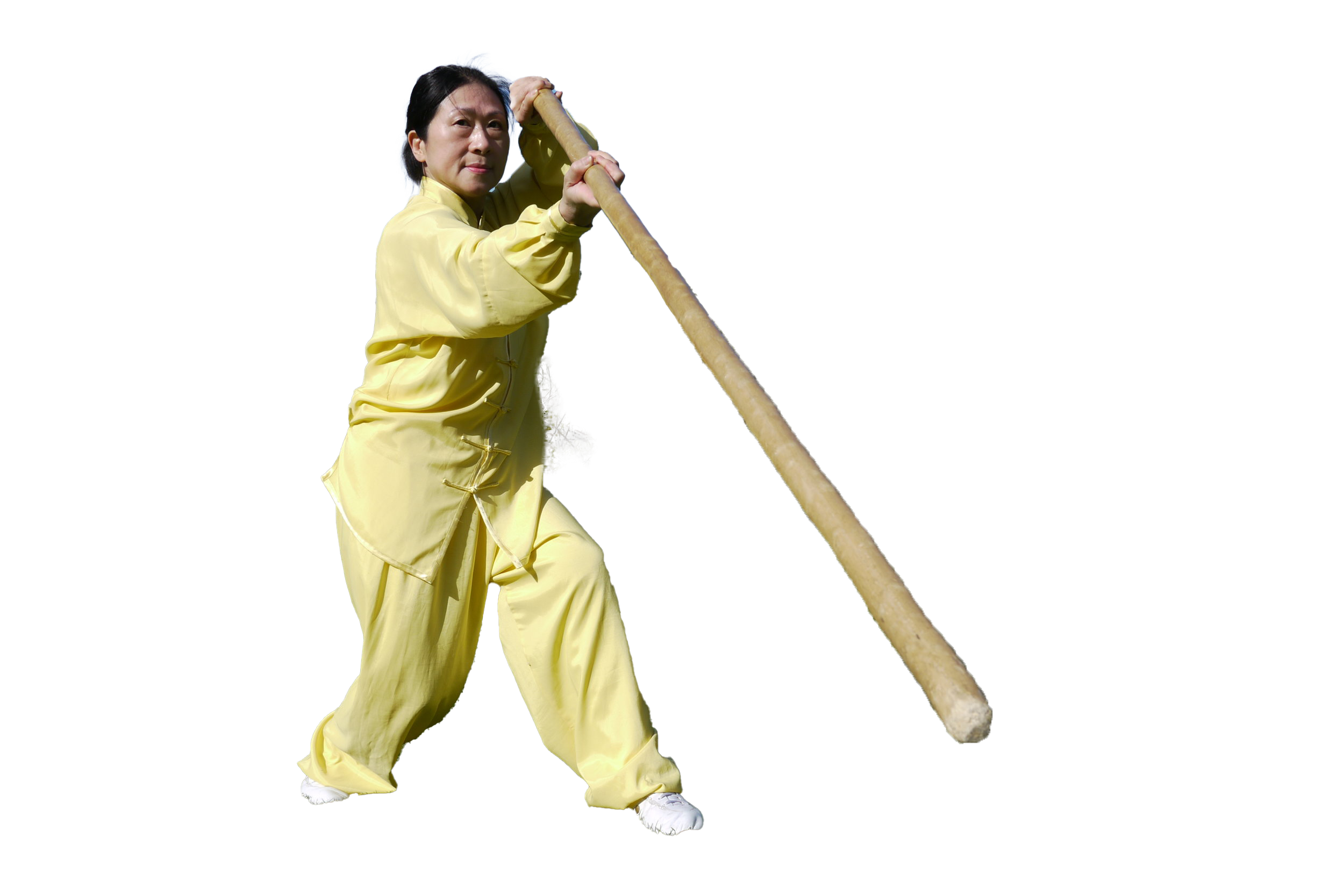Estil Xingyiquan